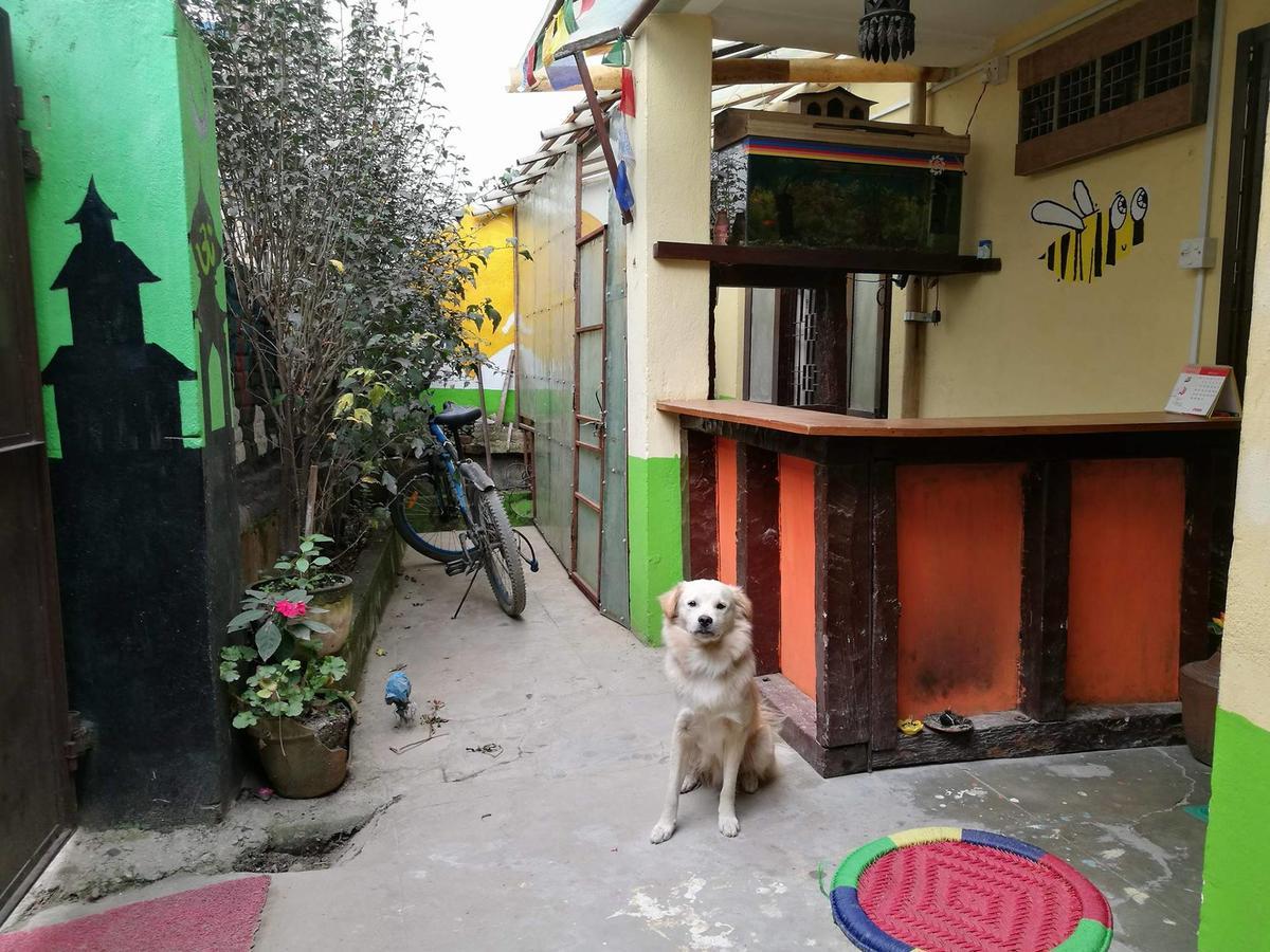 The Nepali Hive Hostel Kathmandu Exterior photo